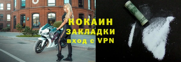 индика Осинники