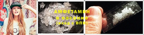 шишки Володарск