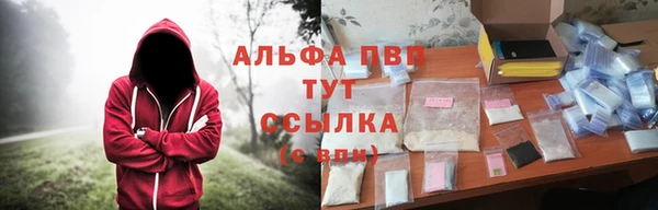 соль ск Волосово
