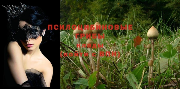 круглые Осташков