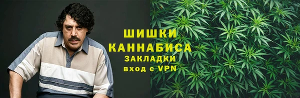 шишки Володарск