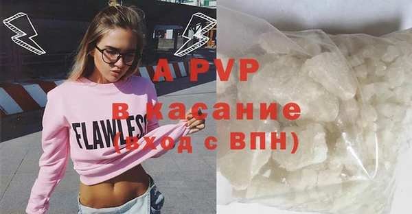 PSILOCYBIN Пересвет