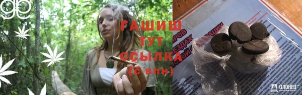 шишки Володарск