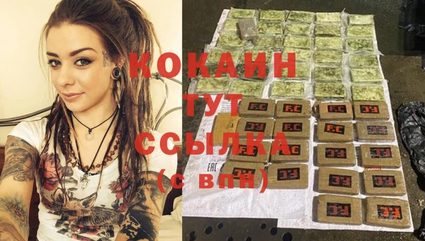 соль ск Волосово
