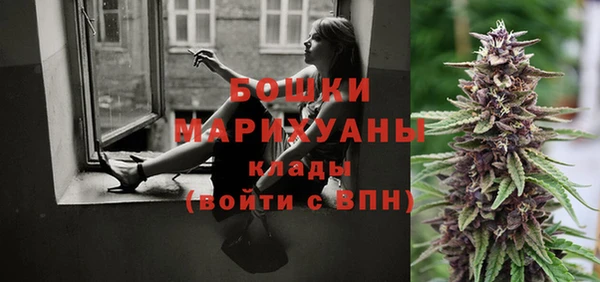 PSILOCYBIN Волоколамск