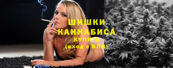 шишки Володарск