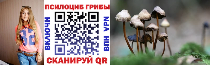 Купить где  Ленск  Галлюциногенные грибы мухоморы 
